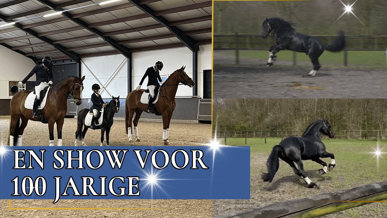 Johnny is wild in de wei | PaardenpraatTV