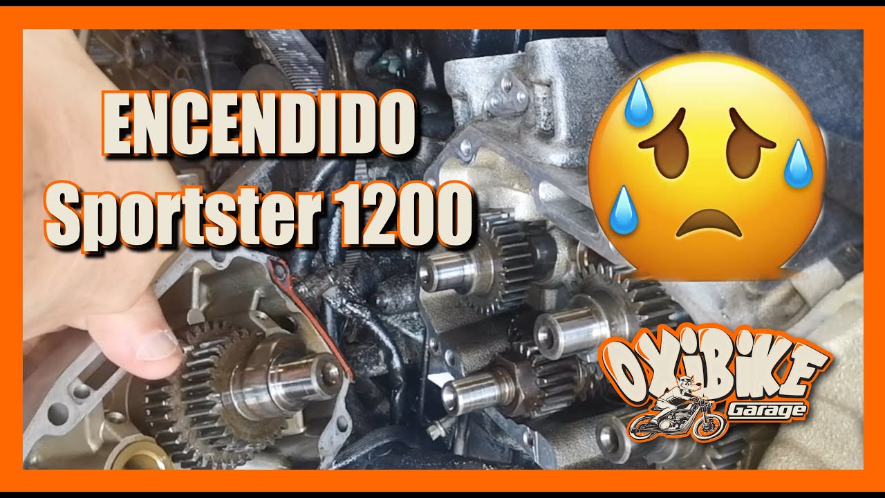 PARTE 19 QUITAR DEPOSITO ACEITE SPORTSTER