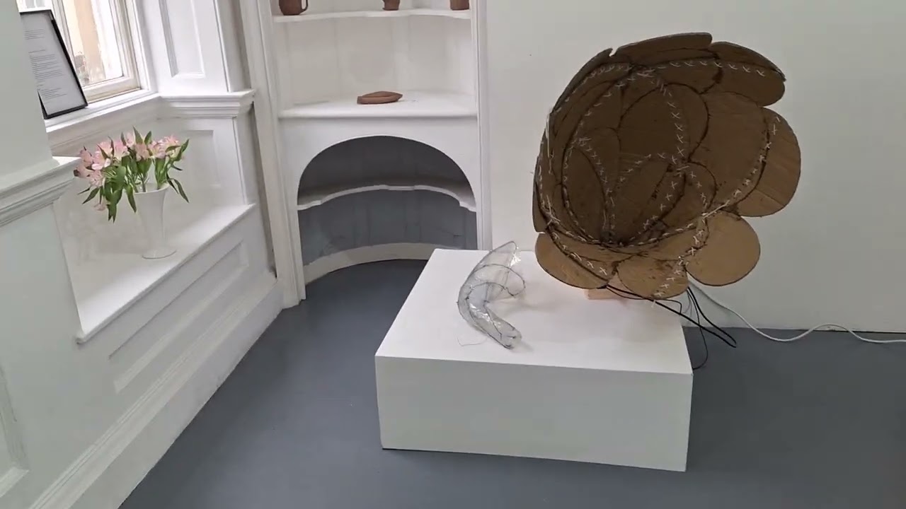 Botanical Encounters exhibition Guided tour 1