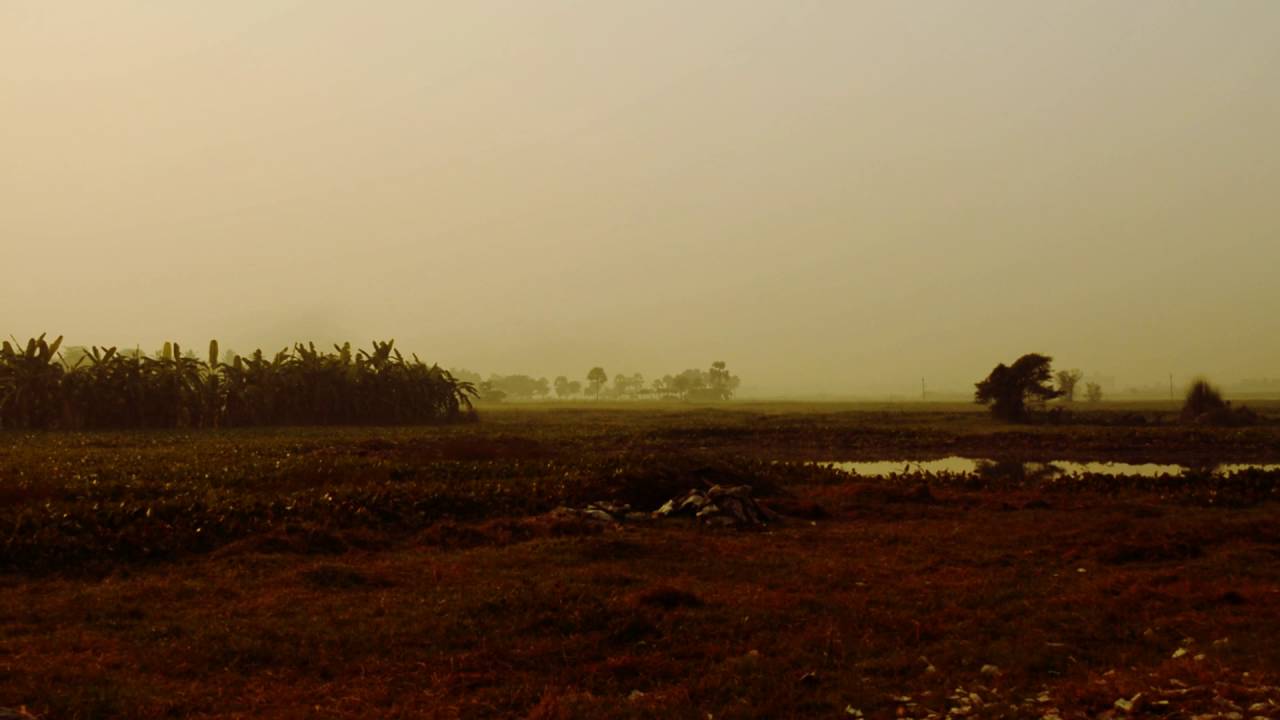 Crop Field in a morning (FREE) : Stock footage