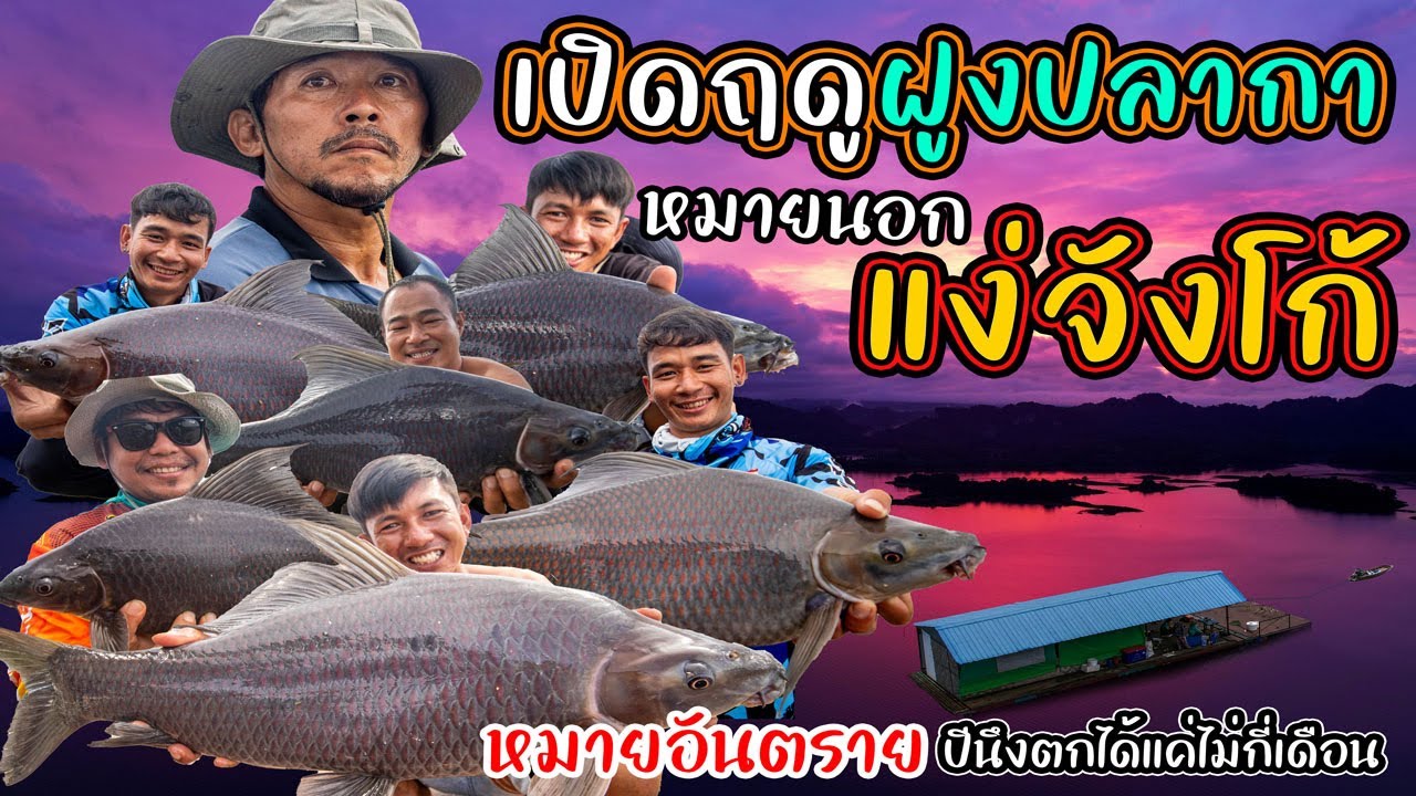 เปิดฤดูฝูงปลากา หมายนอก แง่จังโก้