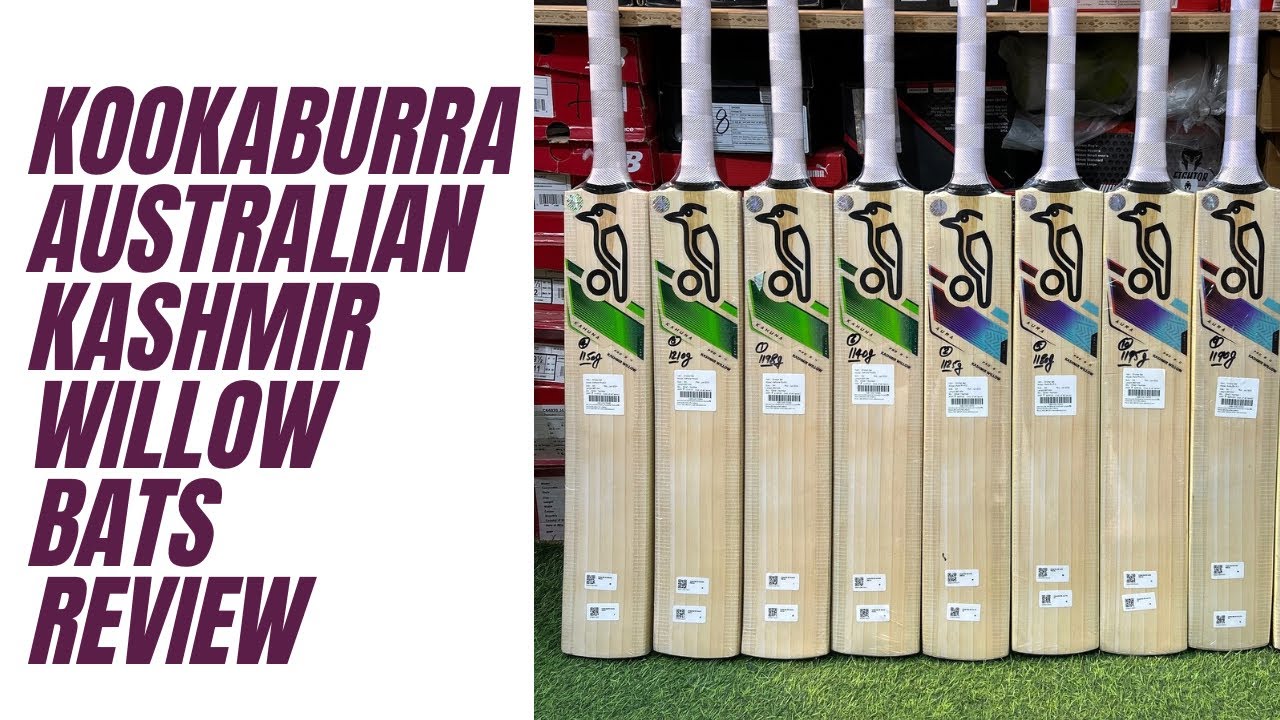 kookaburra Latest Kashmir Willow Bat Review | +919667010575 | Ai Sports | #cricket #kookaburra