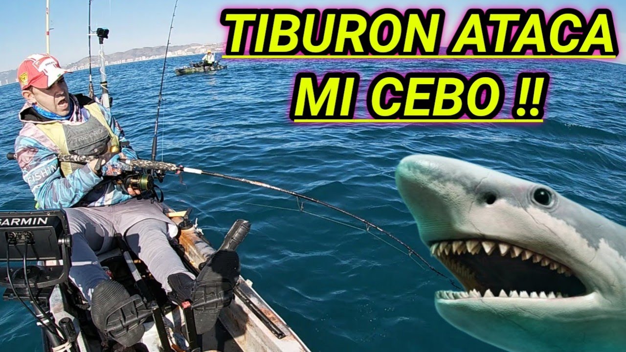 PICADA de TIBURON 🤯 y FALSO ABADEJO a JIGGING 🎣