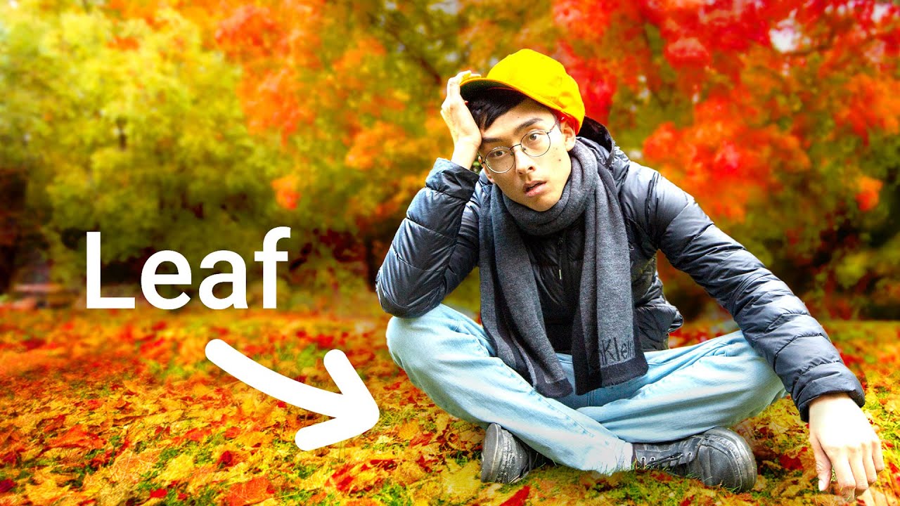 I Sat On A Single Leaf For 24 Hours