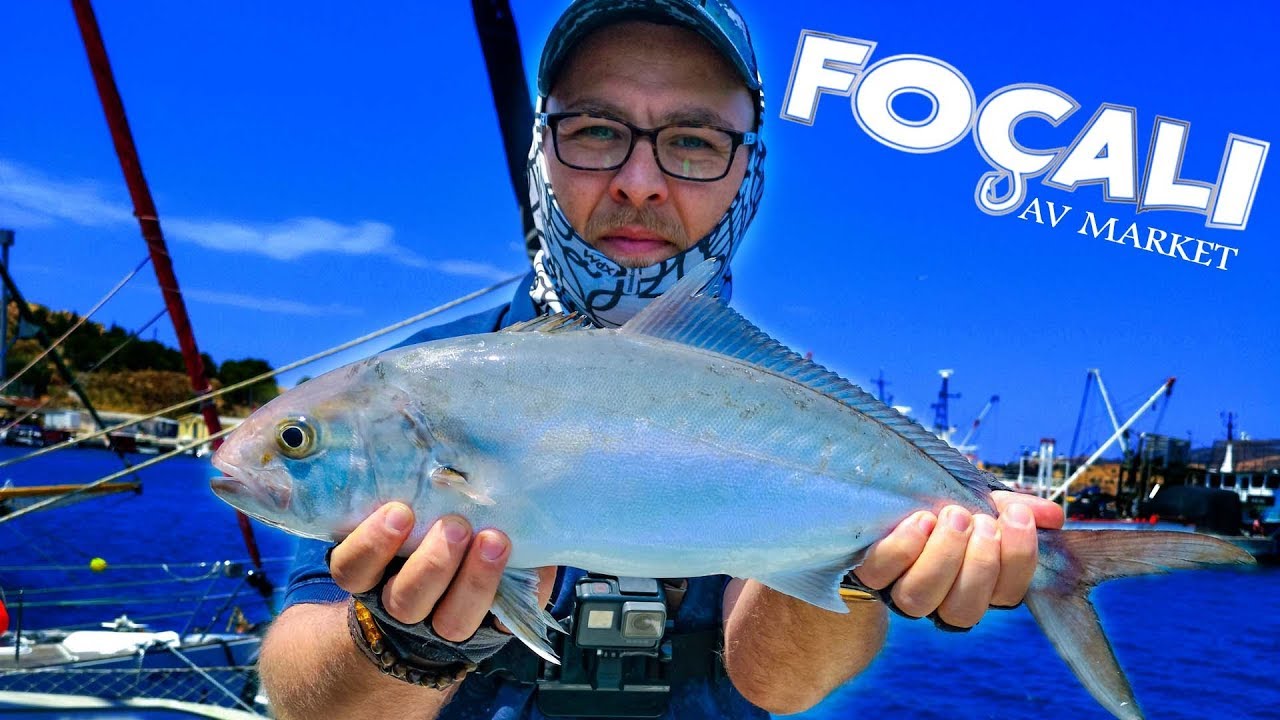 Foça'da Jig ile Akyalarla Dans Ettik! Yakala Bırak Kuzu Sarıkuyruk Light Shore Jigging for Amberjack