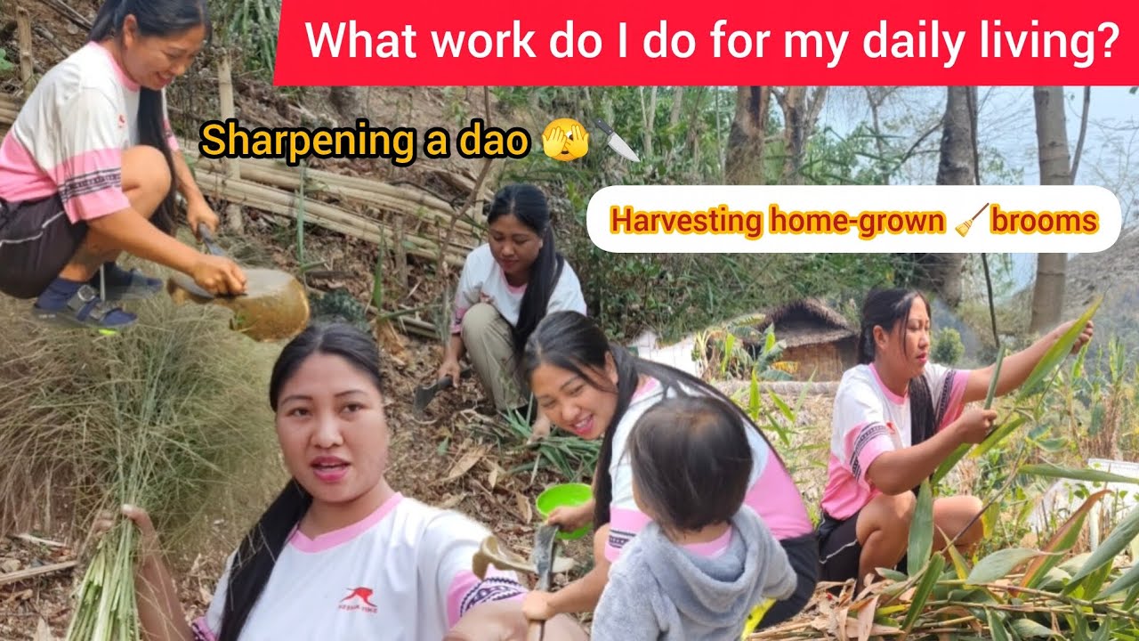 My daily work || harvest home-grown broom 🧹🧹@sheingamangnao2554 