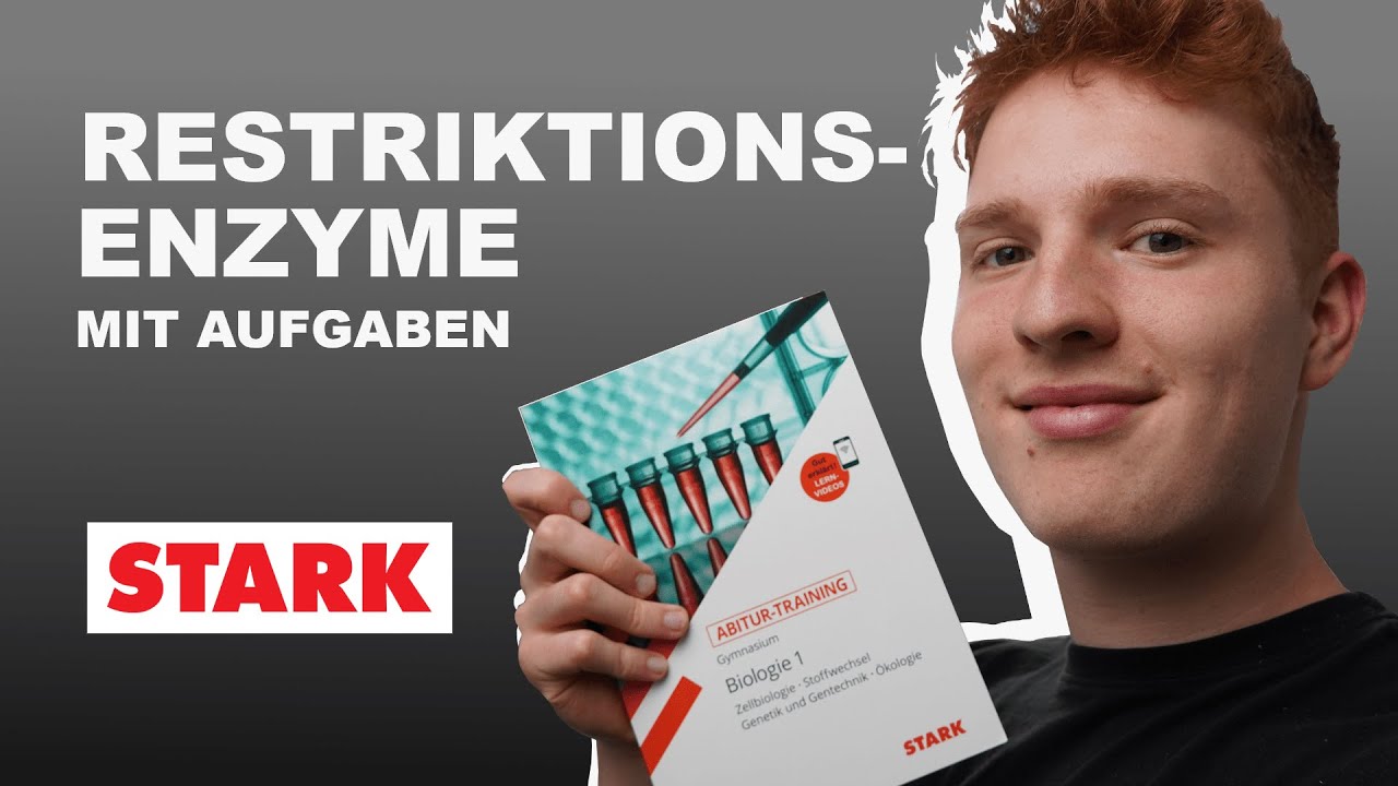 Restriktionsenzyme Grundlagen | Sticky-ends und Basenpaar-Palindrom | einfach erkl&auml;rt mit Aufgaben