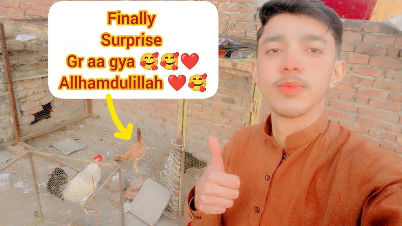 Surprise gr aa gya 🥰❤️ Allhamdulillah ❤️🥰#####