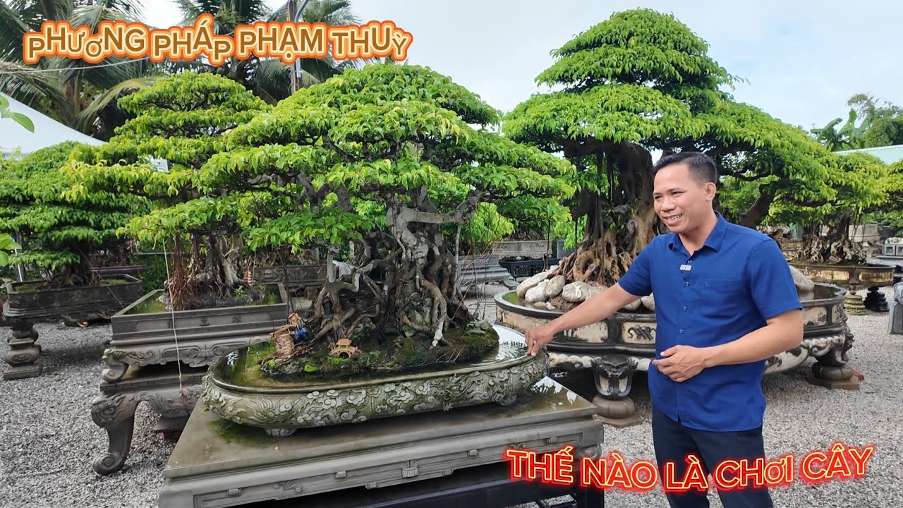 Chơi cây đúng nghĩa - Chỉ điểm để thay đổi - Phương pháp Phạm Thuỳ