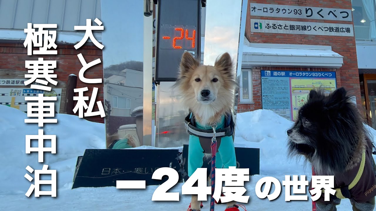【女ひとりと犬2匹、➖24度車中泊】マイナス24度の世界は素晴らしかった…日本一寒い町・陸別で過ごした2日間＆阿寒湖トレッキング〜犬と私の絶景・温泉をとことん！楽しむキャンピングカー旅③