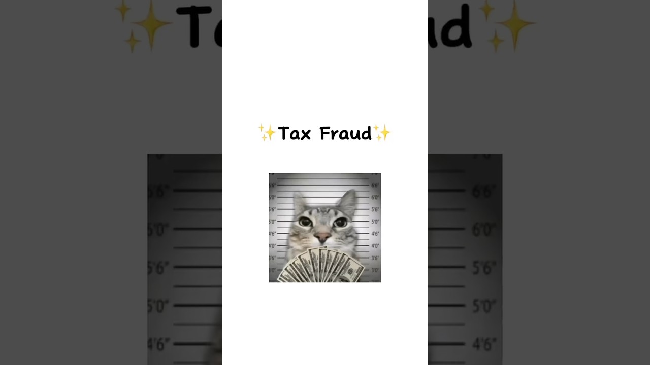 Tax fraud explained by cat 😺 