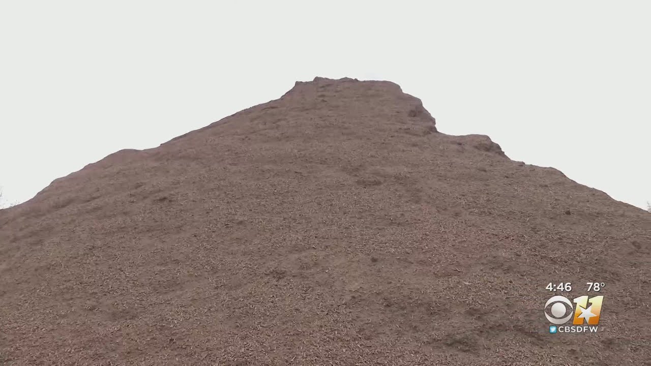 Gardening 101: Dallas 'zoo poo' program turns elephant waste into fertilizer