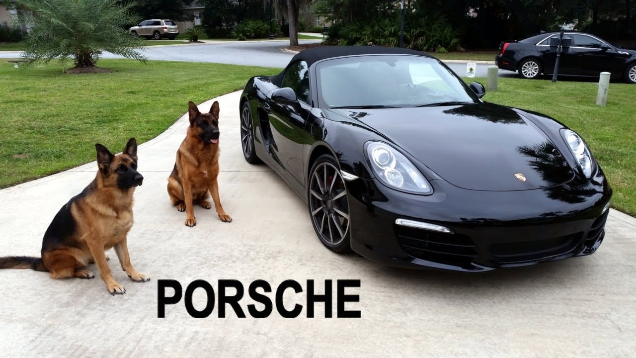 Porsche 981s Driving Top-Down Sport Mode