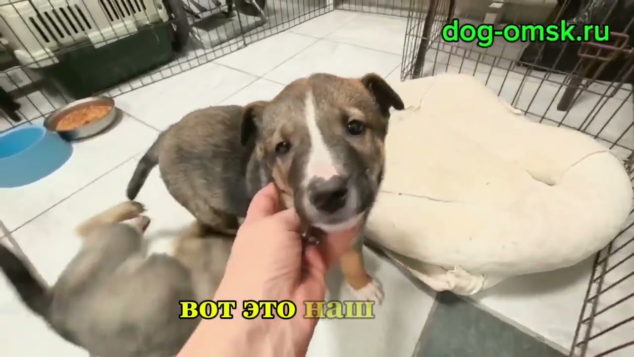 Итоги дня 20.01.2026