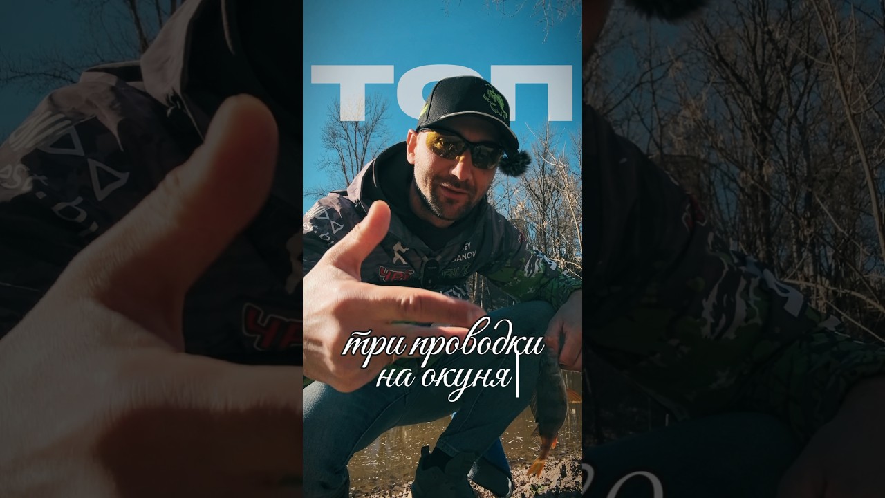 ТОП три проводки на окуня с которыми ты точно поймаешь#рыбалка#спиннинг#окунь#