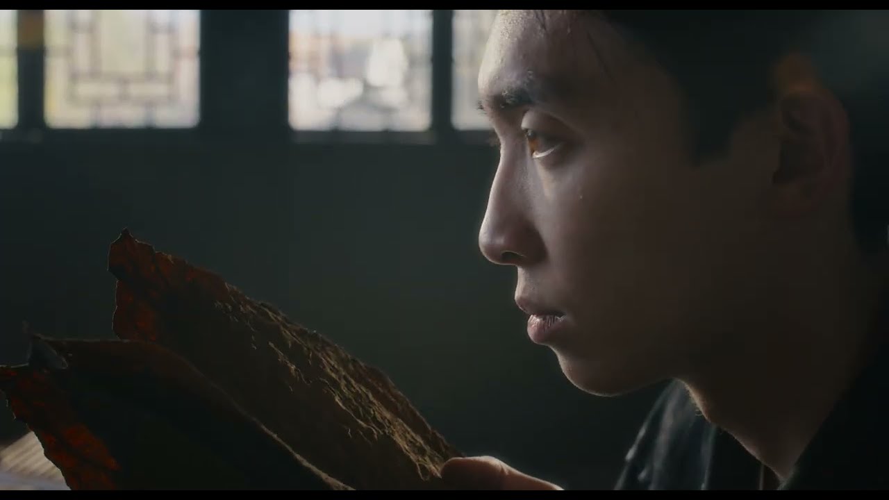 ChiMolly 2026 Chinese New Year Film | Blending Cultures 🧨🧧