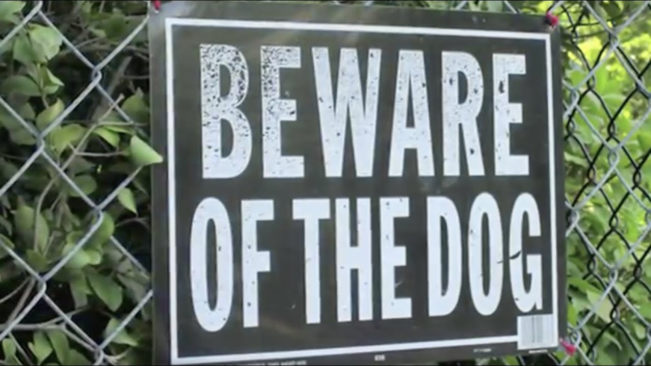 Injured By A Dog Bite in Colorado? Stats & Info on Dog Bite Injuries