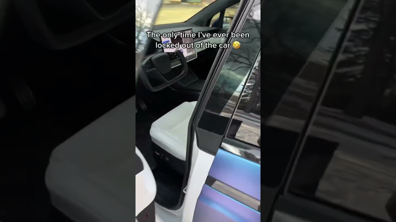 Is Disabling the Automatic Model X Doors Worth it?? 🤔