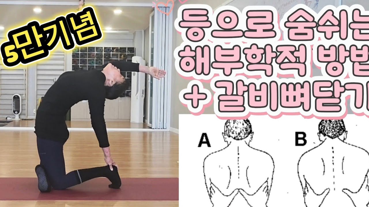 [요가수업#167]등으로숨쉬는해부학적방법과갈비뼈닫는요가수업 