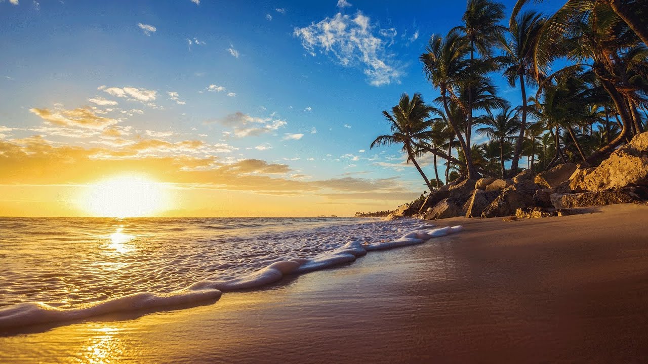 UN EN VIVO PARA QUE TE RELAJES #live #nature #love