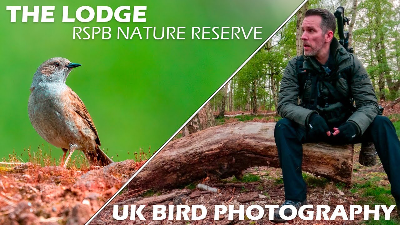 An amazing morning photographing birds and wildlife at RSPB The Lodge