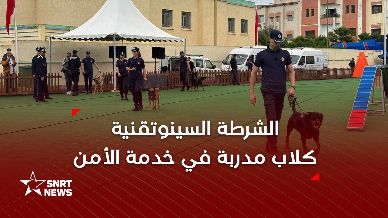 الشرطة السينوتقنية .. تعرف على سلالات الكلاب المدربة ومهامها