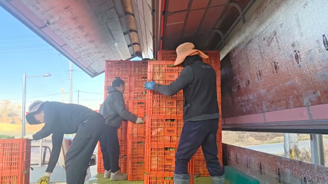 #맥쎈#하루일#화물#화물차