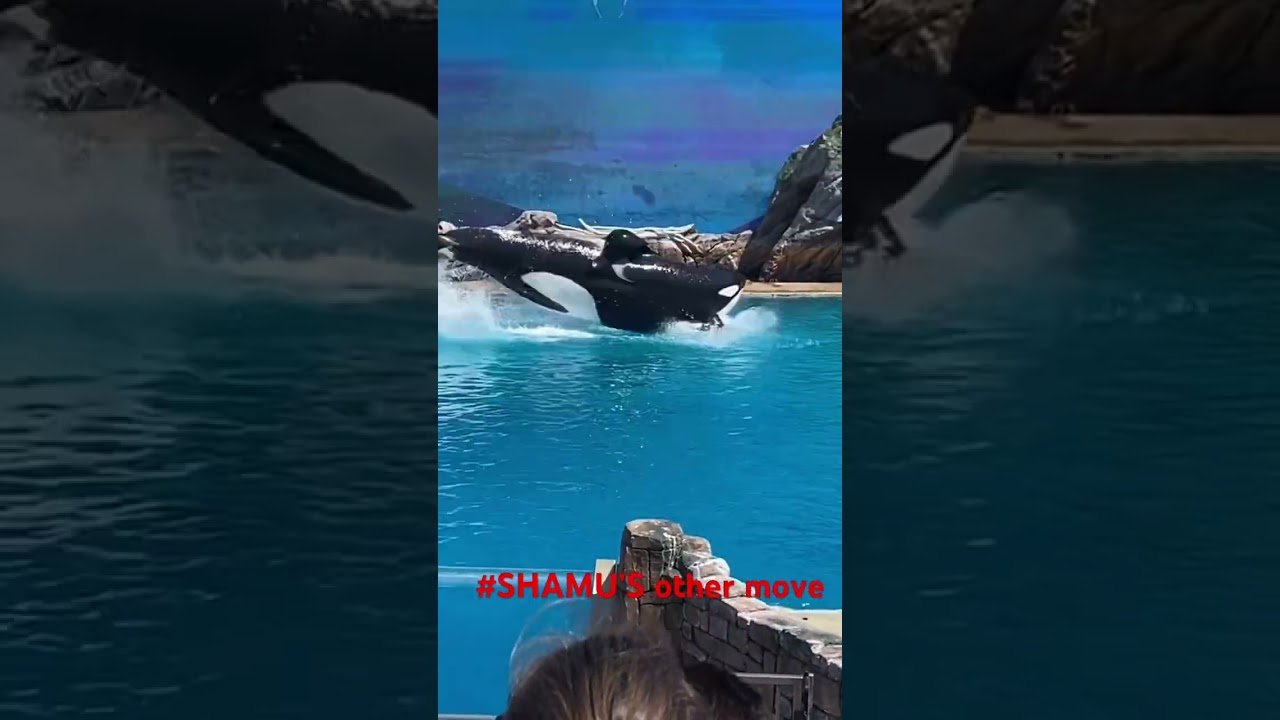#SHAMU