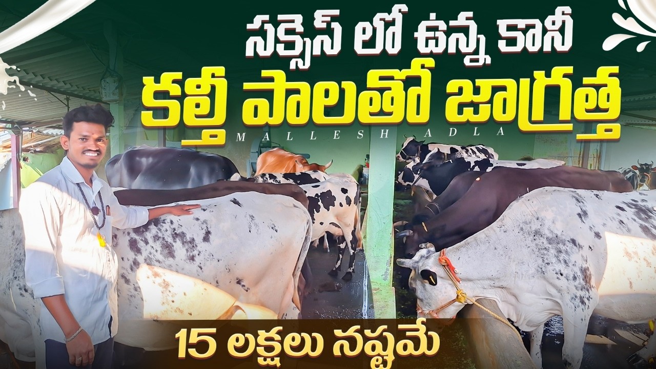 అసలైన రైతులకు నష్టం sridevi dairy farm @MalleshAdla