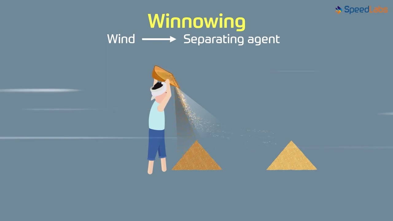 Class-6-Science-Ch-7-Separation of Substances-Topic- Winnowing