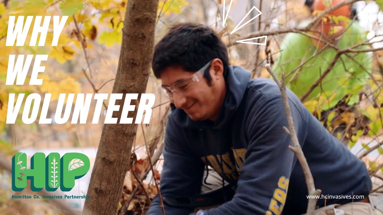 Why We Volunteer: Restoring Nature Together