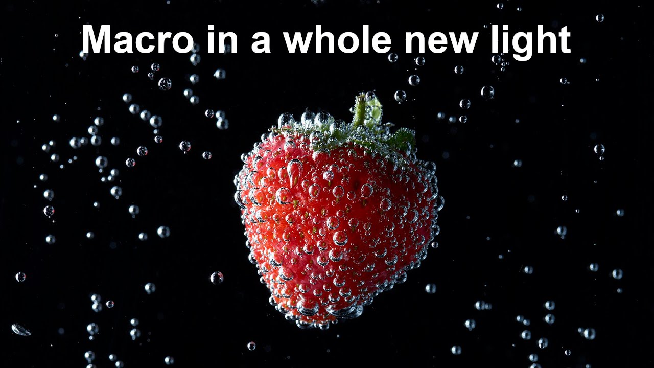 Bubble-infused macro photography
