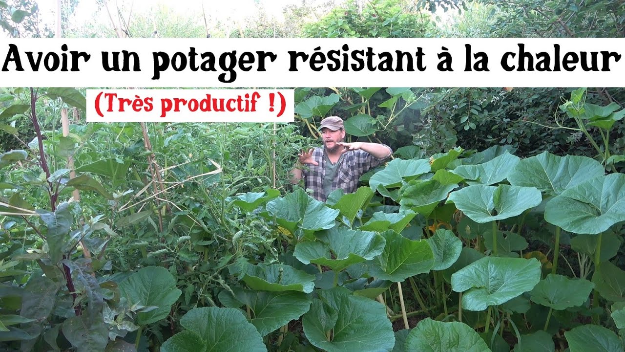 Avoir un potager r&eacute;sistant &agrave; la chaleur !