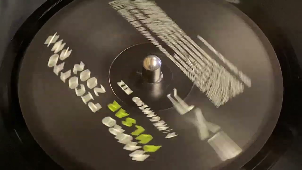 MAURO PICOTTO - PULSAR 2002 (MEGAMIND MIX)