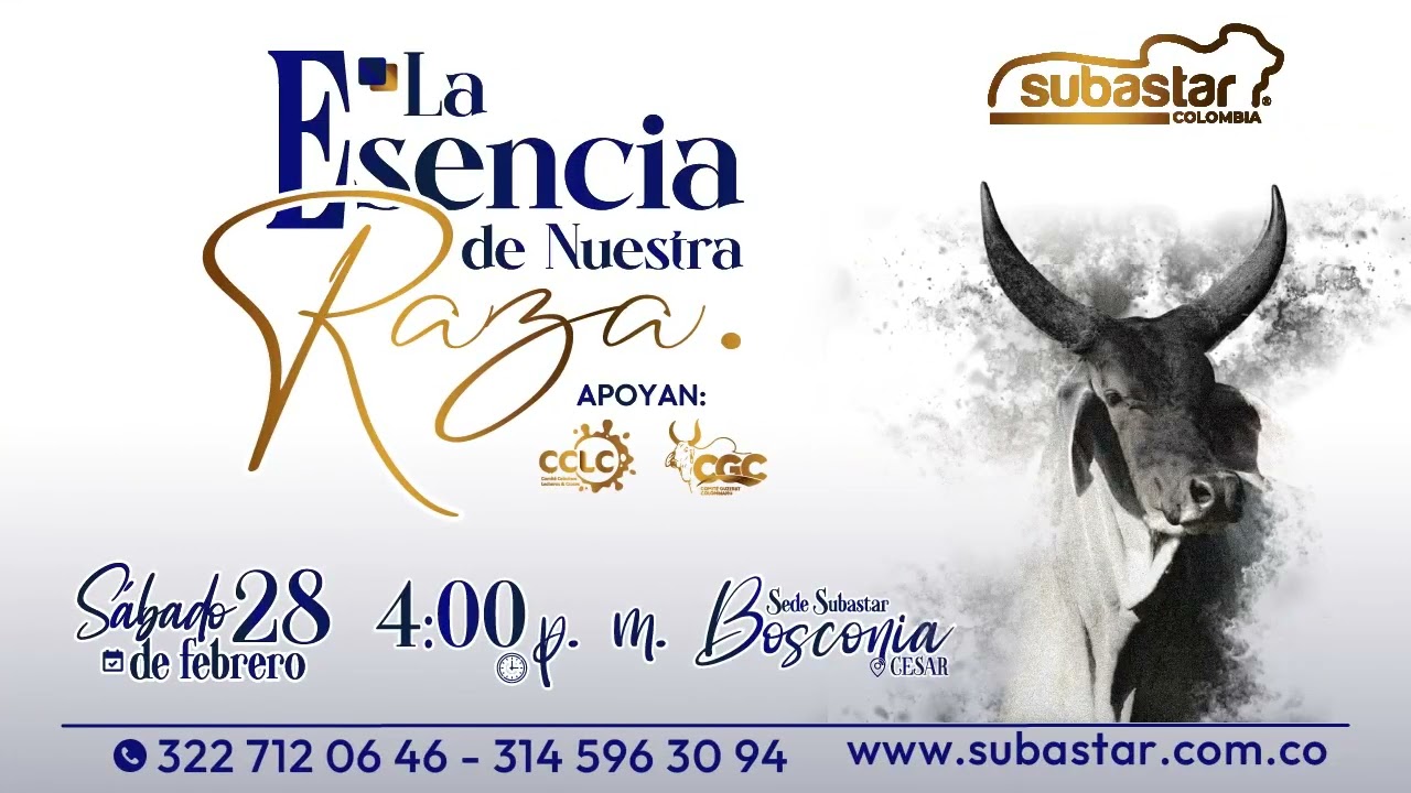 Subastar Virtual - Presencial Monteria E(5) 12-02-2026