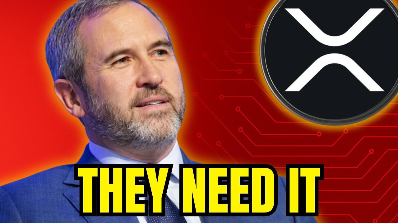 Ripple XRP: They're Not Buying It to Speculate 🚀