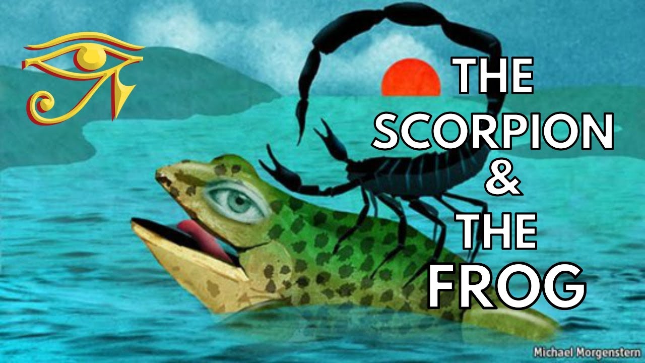The Scorpion and the Frog