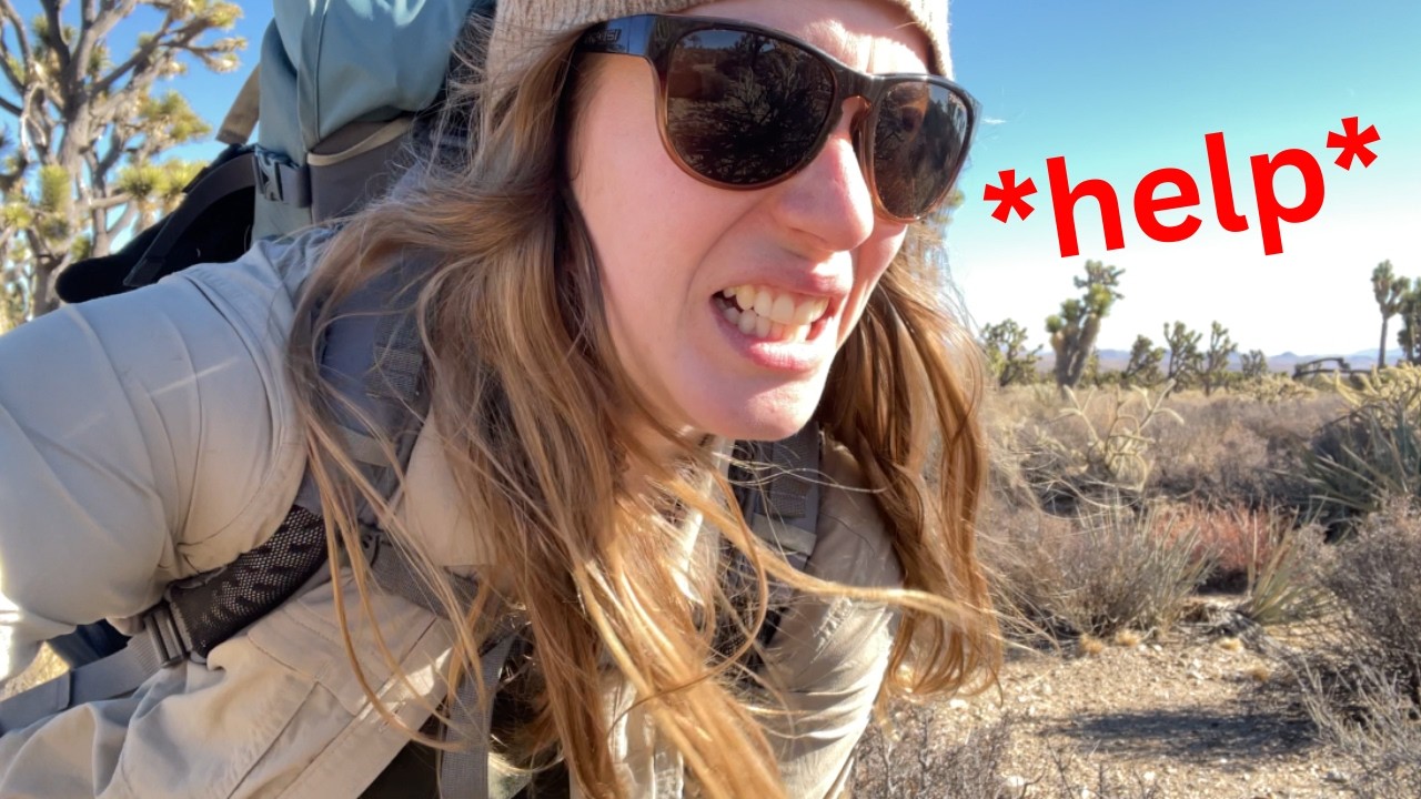 CACTUS ATTACK in the Mojave Desert