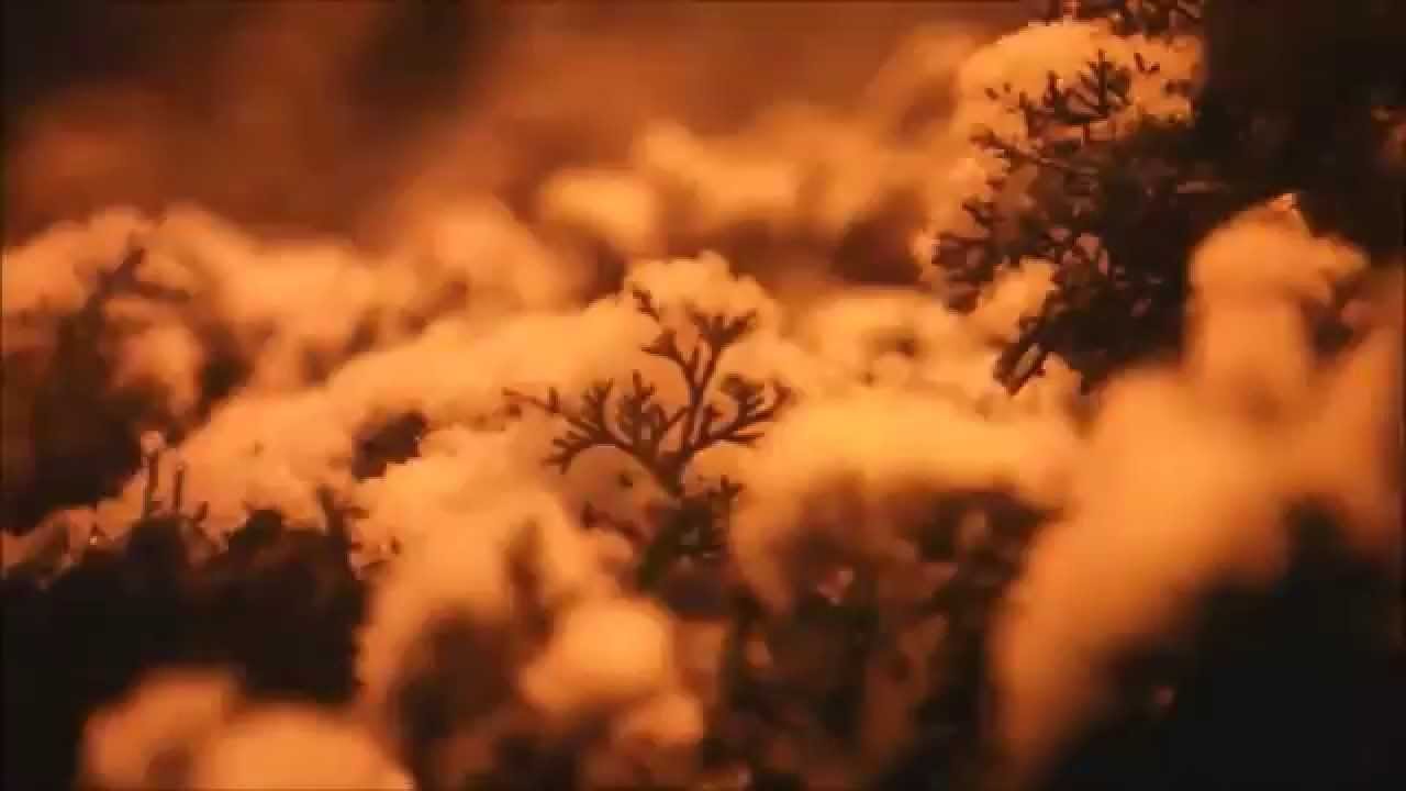 AquaTunes - Winter Memories (Original -♥)