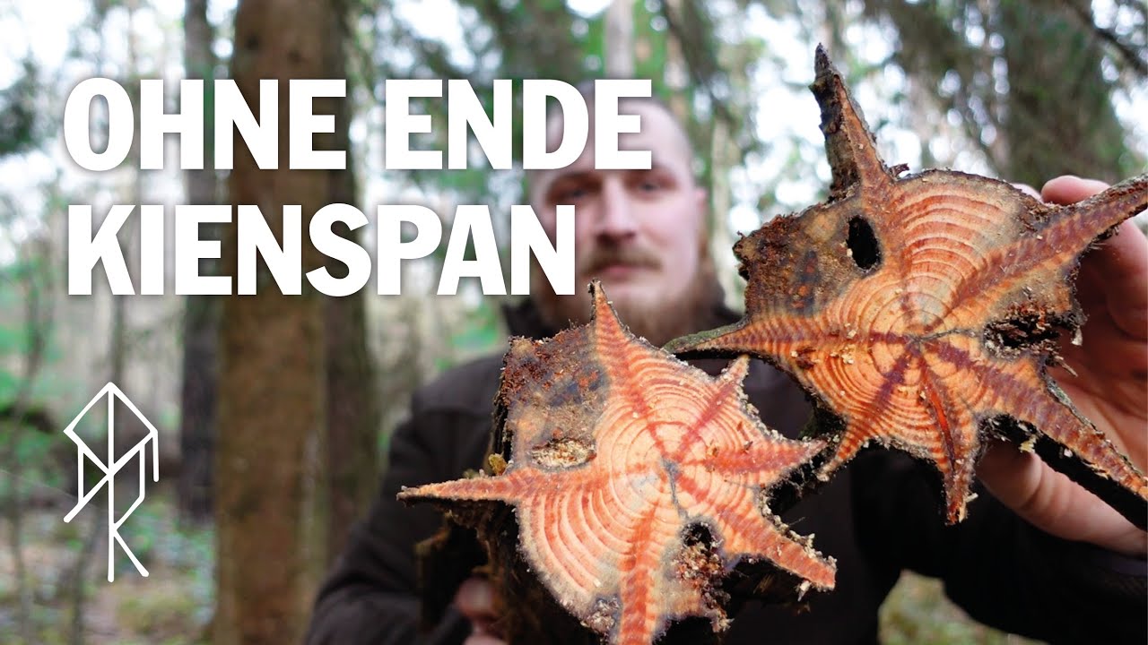 Kienspan ohne Ende - Tipps zum finden des beliebten Zunders | Bushcraft | Survival | Urviech