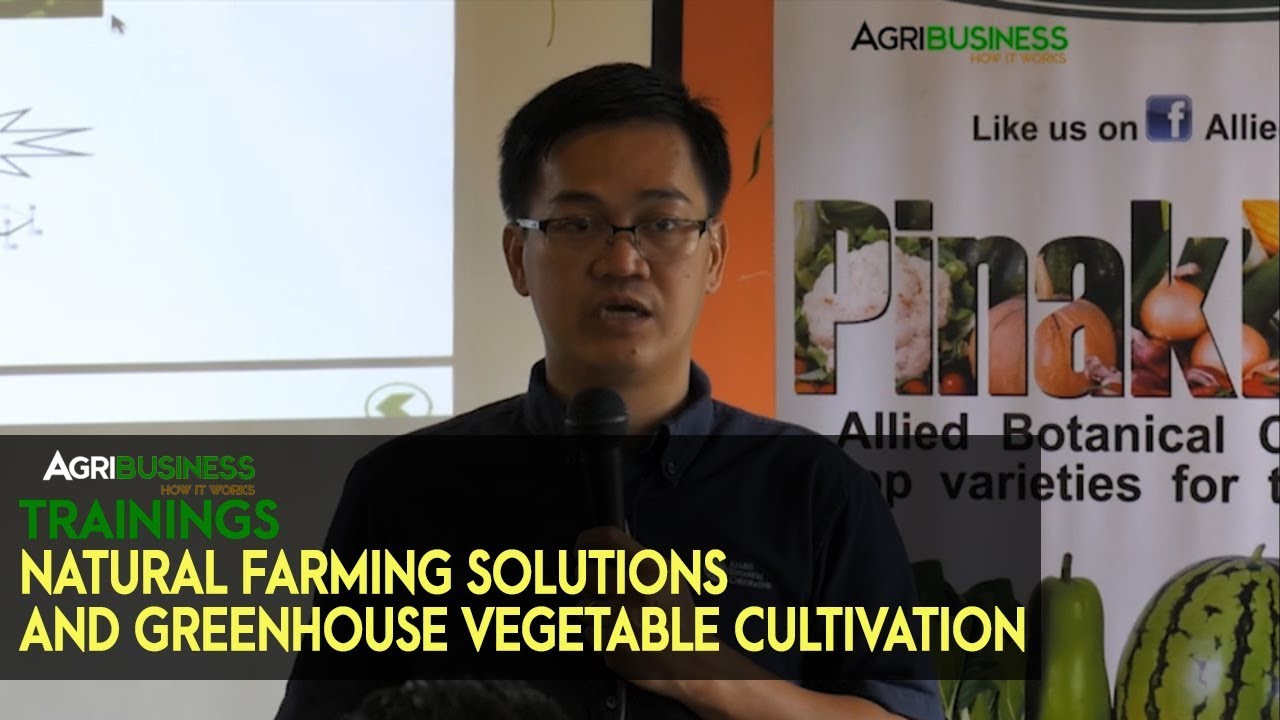 Natural Farming Philippines: What are the Natural Farming Solutions in Greenhouse Vegetable Farming