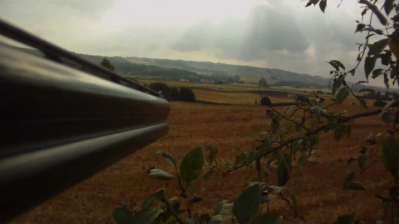 Pigeon hunting over FUD decoys with Tor Ola Dehli. Duejakt