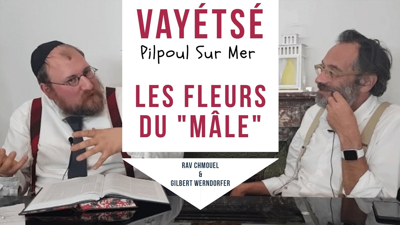 Paracha Vayétsé - Les fleurs du ''mâle''