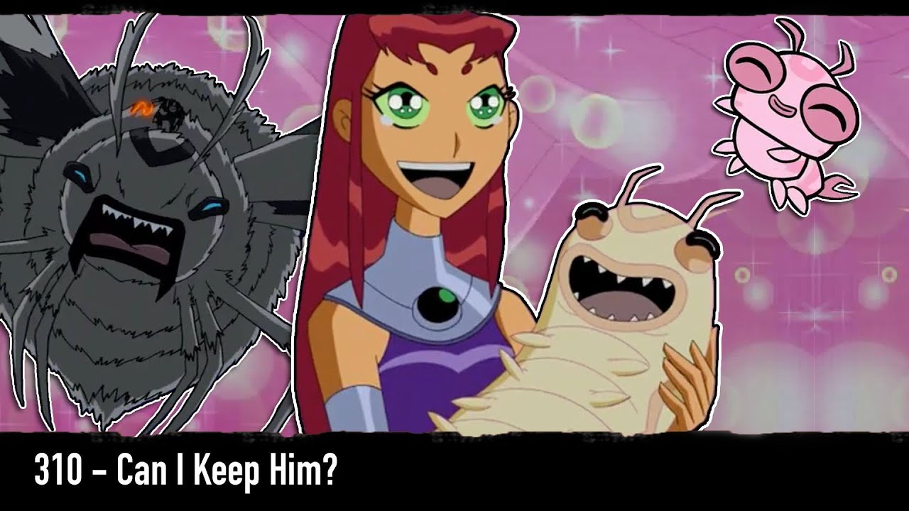 The MOST IMPORTANT Episode of Teen Titans | Can I Keep Him?