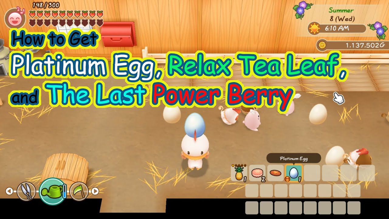 How to Get Gold Egg, Relax Tea Leave and Last Power Berry | Story of Seasons Friends of Mineral Town