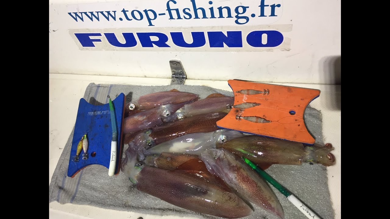 Tuto: Détecter les calamars au sondeur FURUNO