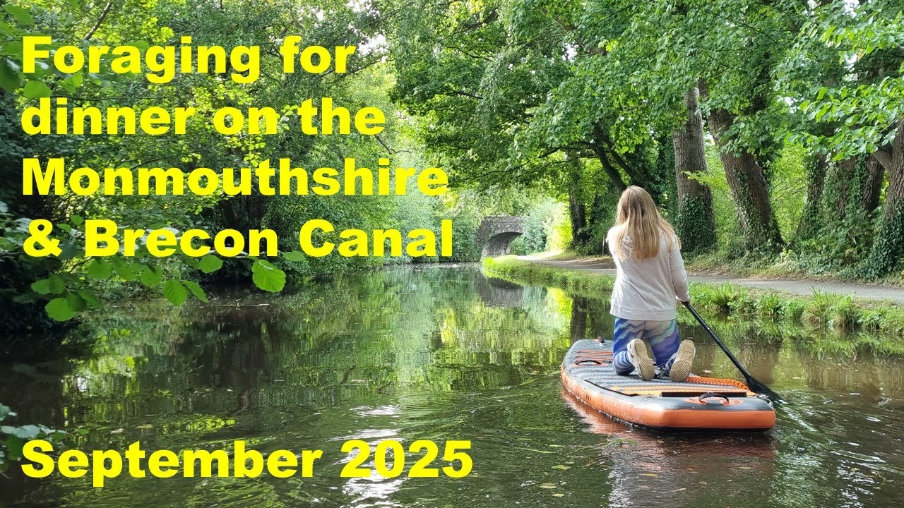 Foraging as we SUP through the Brecon Beacons - Sept 25