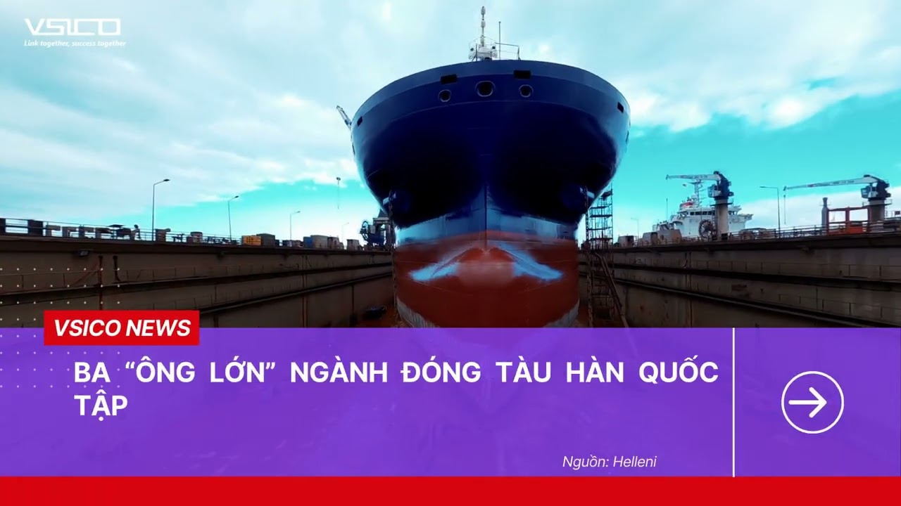 Điểm tin hàng hải & logistics tuần 3.2026