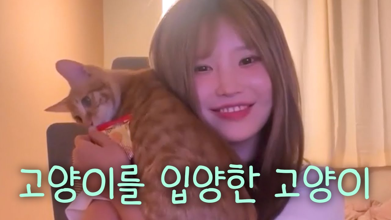 이게 내 고양이라니(positive) [프로미스나인 송하영]