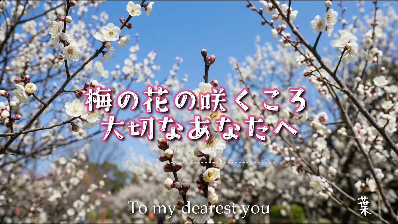【RELAXING♪】邦楽｜ショート３曲｜男性ボーカル｜春待つ｜馬鹿は死ななきゃ治らない｜穏やかな朝に君と#BGM #春 #リラクゼーション #心地よい音楽  #菅原道真 #東風吹かば